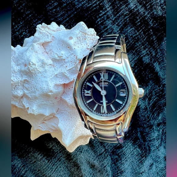 Citizen Eco-Drive WR100 - Picture 1 of 11